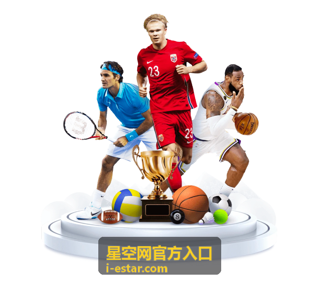 星空网官方入口使用指南分类